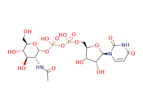 Molecular Structure of 26575-17-7 (uridine diphosphate N-acetylmannosamine)