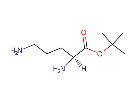 Molecular Structure of 26302-89-6 (L-ornithine tert-butyl ester)