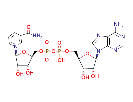 Molecular Structure of 108646-17-9 (nicotinamide arabinoside adenine dinucleotide)