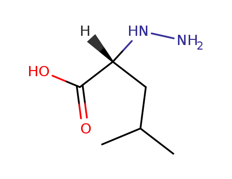 Molecular Structure of 24292-07-7 (D-α-Hydrazino-isocapronsaeure)