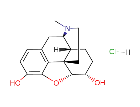 Dihydromorphine hydrochloride