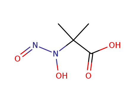 Molecular Structure of 877927-16-7 (α-(hydroxy-nitroso-amino)-isobutyric acid)