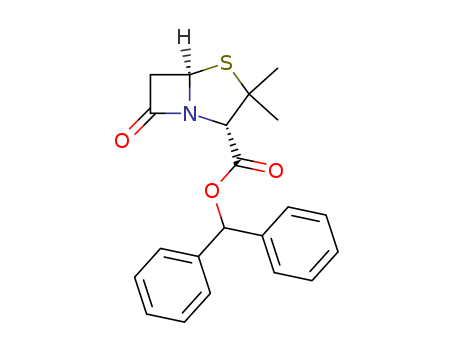 Click to see the large picture