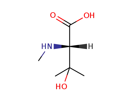 Molecular Structure of 77421-34-2 (L-β-hydroxy-N-methylvaline)