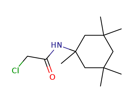 Molecular Structure of 316364-93-9 (2-chloro-N-(1,3,3,5,5-pentamethylcyclohexyl)acetamide)