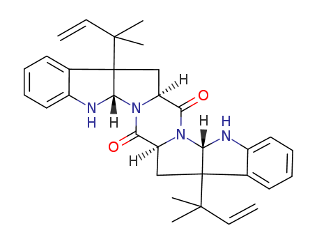 Click to see the large picture