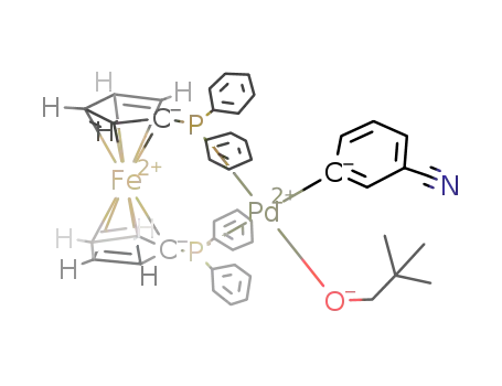 Molecular Structure of 210693-65-5 ((dppf)Pd(m-C<sub>6</sub>H<sub>4</sub>CN)(OCH<sub>2</sub>CMe<sub>3</sub>))