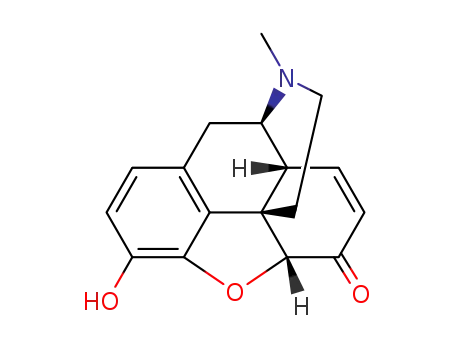 Molecular Structure of 467-02-7 (Morphinone)