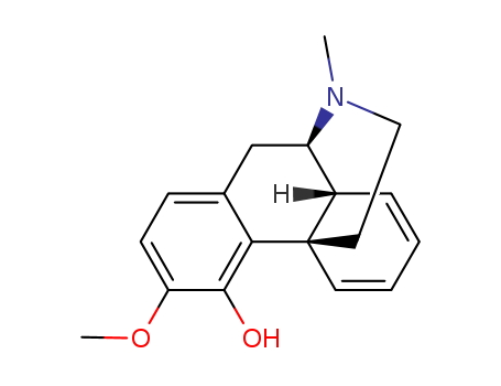 5,6,7,8-Tetradehydro-3-methoxy-17-methylmorphinan-4-ol