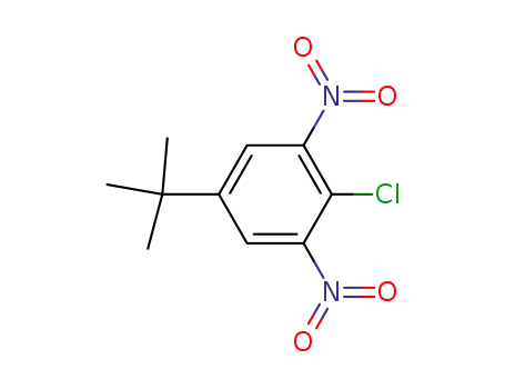 Molecular Structure of 2213-81-2 (2-Chloro-5-(1,1-dimethylethyl)-1,3-dinitrobenzene)