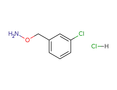Molecular Structure of 29605-78-5 (1-[(AMMONIOOXY)METHYL]-3-CHLOROBENZENE CHLORIDE)