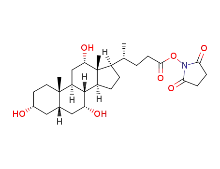 Molecular Structure of 70090-26-5 (cholic acid N-succinimidyl ester)