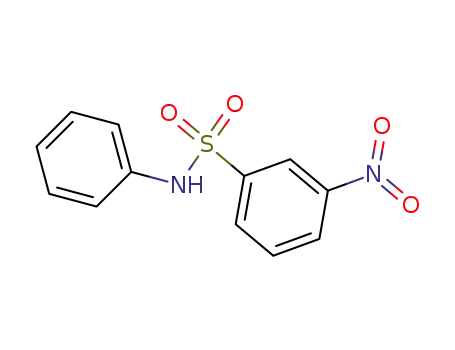 Molecular Structure of 28791-26-6 (m-nitro-N-phenylbenzenesulphonamide)