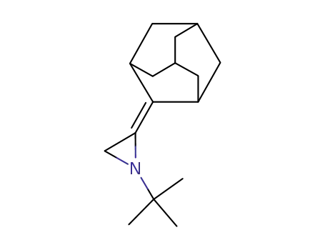 Molecular Structure of 113776-99-1 (2-adamantylidene-N-tert-butylaziridine)