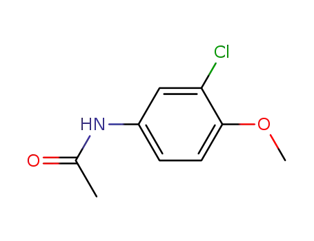 Molecular Structure of 7073-42-9 (3-Chloro-4-Methoxyacetanilide)