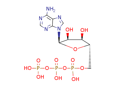 653-60-1,9-beta-xylofuranosyladenine 5'-triphosphate,Adenine,9-b-D-xylofuranosyl-,5'-(tetrahydrogen triphosphate) (8CI); Adenine, 9-b-D-xylofuranosyl-, 5'-triphosphate (7CI); 9-b-D-Xylofuranosyladenine5'-triphosphate