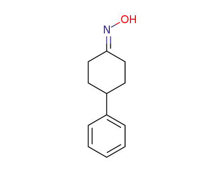 Molecular Structure of 4500-20-3 (4-Phenylcyclohexane-1-oneoxime)