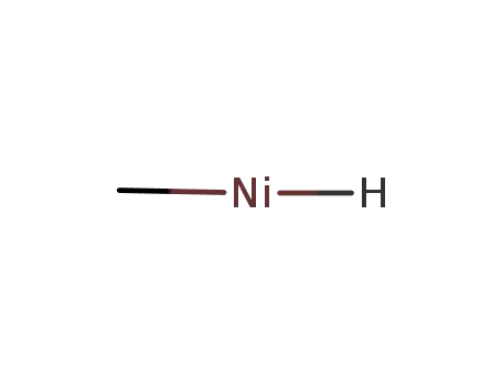 Molecular Structure of 86392-32-7 (Nickel, hydromethyl-)
