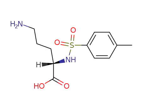 Molecular Structure of 19595-40-5 (<i>N</i><sup>2</sup>-(toluene-4-sulfonyl)-L-ornithine)