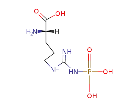 Molecular Structure of 1189-11-3 (N5-[imino(phosphonoamino)methyl]L-ornithine)