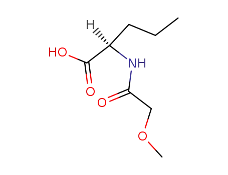 Molecular Structure of 121703-97-7 (N-Methoxyacetyl norvaline)