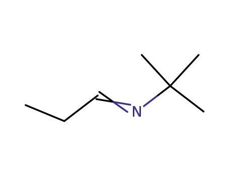 Molecular Structure of 7020-81-7 (propylidene-t-butylamine)