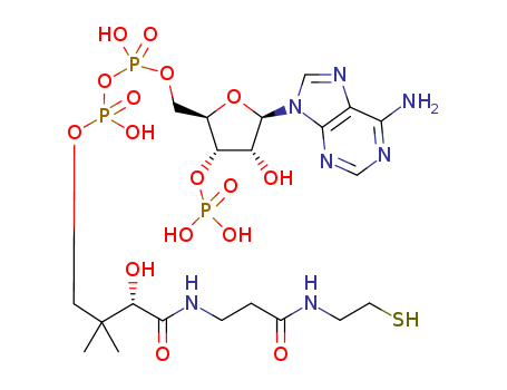 Adenosine5'-(trihydrogen diphosphate), 3'-(dihydrogen phosphate),P'-[(3S)-3-hydroxy-4-[[3-[(2-mercaptoethyl)amino]-3-oxopropyl]amino]-2,2-dimethyl-4-oxobutyl]ester (9CI) cas  31416-98-5