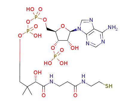 Molecular Structure of 31416-98-5 (Adenosine5'-(trihydrogen diphosphate), 3'-(dihydrogen phosphate),P'-[(3S)-3-hydroxy-4-[[3-[(2-mercaptoethyl)amino]-3-oxopropyl]amino]-2,2-dimethyl-4-oxobutyl]ester (9CI))