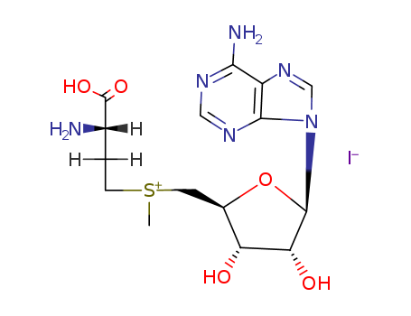 Adenosine,5'-[[(3S)-3-amino-3-carboxypropyl]methylsulfonio]-5'-deoxy-, iodide (1:1)(3493-13-8)