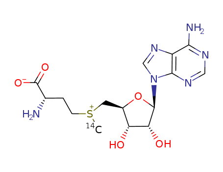S-ADENOSYL-L-METHIONINE, [METHYL-14C]