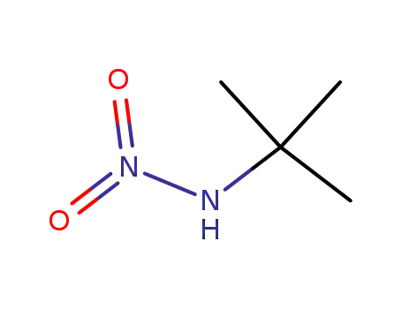 Molecular Structure of 3335-66-8 (N-nitro-tert-butylamine)
