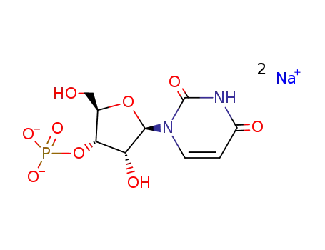 Molecular Structure of 35170-03-7 (3'-UMP NA)