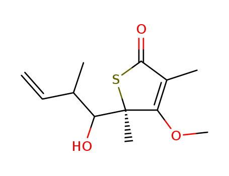 Click to see the large picture