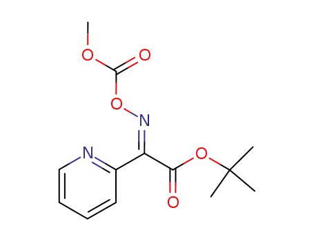 Molecular Structure of 355023-81-3 (t-butyl α-anti-(methoxycarbonyl)oximino-α-(2-pyridyl)acetate)