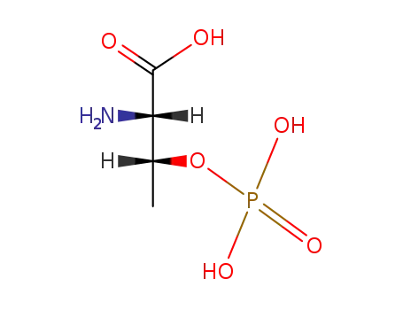 Molecular Structure of 1114-81-4 (O-PHOSPHO-L-THREONINE)