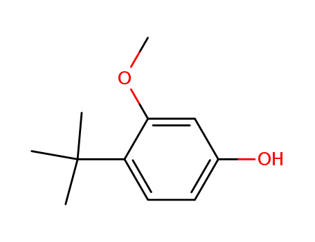 Molecular Structure of 19545-76-7 (Phenol, 4-(1,1-dimethylethyl)-3-methoxy-)