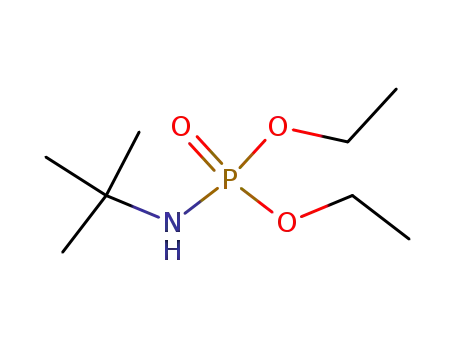 Molecular Structure of 22685-20-7 (DIETHYL TERT-BUTYL AMIDOPHOSPHATE)