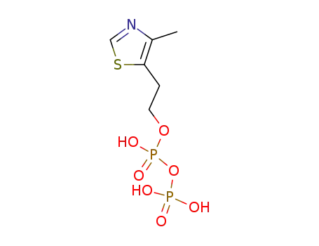 Molecular Structure of 2606-90-8 (4-methyl-5-oxyethyl thiazol diphosphate)