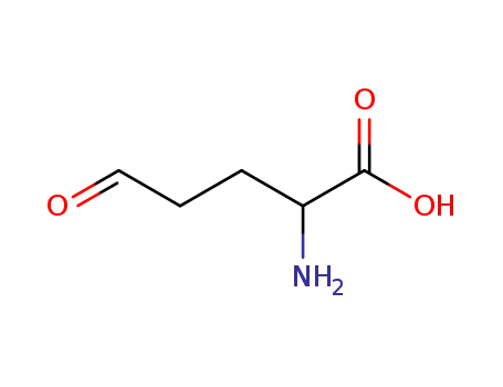 Molecular Structure of 496-92-4 (2-amino-5-oxo-pentanoic acid)