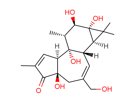 ≥98% high purity high quality custom manufacturing natural extract Phorbol 17673-25-5