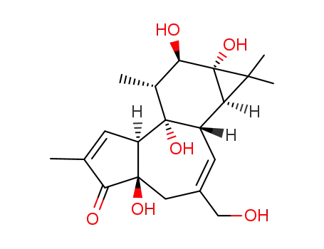 Molecular Structure of 17673-25-5 (PHORBOL)