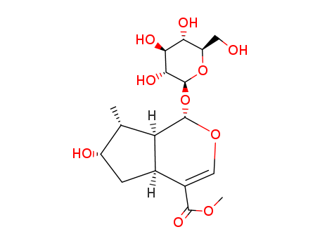 18524-94-2,Loganin,Cyclopenta[c]pyran-4-carboxylicacid, 1-(b-D-glucopyranosyloxy)-1,4a,5,6,7,7a-hexahydro-6-hydroxy-7-methyl-,methyl ester (7CI);Cyclopenta[c]pyran-4-carboxylic acid, 1-(b-D-glucopyranosyloxy)-1,4a,5,6,7,7a-hexahydro-6-hydroxy-7-methyl-,methyl ester, [1S-(1a,4aa,6a,7a,7aa)]-;Loganin (6CI,8CI);(-)-Loganin;(1S)-1a-(b-D-Glucopyranosyloxy)-1,4aa,5,6,7,7aa-hexahydro-6a-hydroxy-7a-methylcyclopenta[c]pyran-4-carboxylicacid methyl ester;7-Hydroxy-6-desoxyverbenalin;Loganoside;NSC 606403;