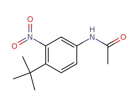 Molecular Structure of 31951-11-8 (N-(3-nitro-4-tert-butyl-phenyl)acetamide)