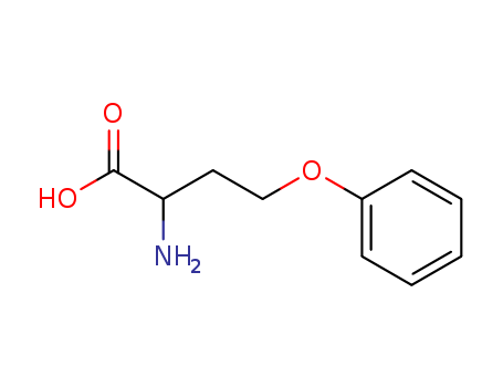 52161-80-5,O-phenyl-L-homoserine,