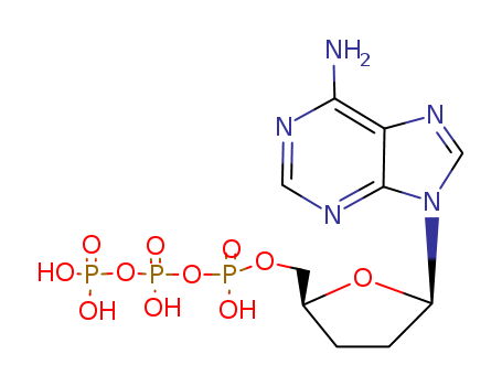 24027-80-3,2',3'-DIDEOXYADENOSINETRIPHOSPHORICACID=DDATP,Adenosine,2',3'-dideoxy-, 5'-(tetrahydrogen triphosphate) (8CI); 2',3'-Dideoxy-ATP;2',3'-Dideoxyadenosine 5'-triphosphate; 2',3'-Dideoxyadenosine triphosphate;2',3'-ddATP; ddATP