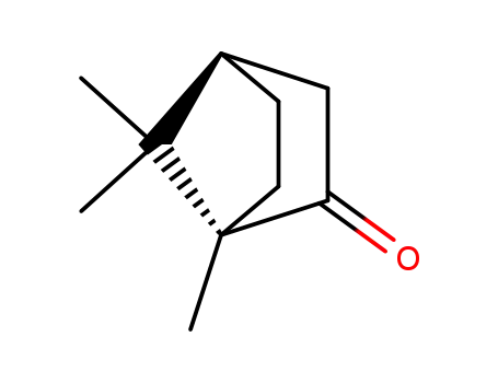 Molecular Structure of 21368-68-3 (DL-Camphor)