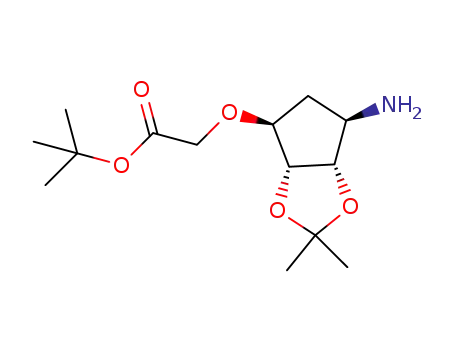 Molecular Structure of 1416158-39-8 (tert-butyl [[(3aR,4S,6R,6aS)-6-amino-2,2-dimethyltetrahydro-3aH-cyclopenta[d][1,3]dioxol-4-yl]oxy]acetate)