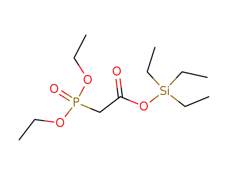 Molecular Structure of 115124-53-3 (C<sub>12</sub>H<sub>27</sub>O<sub>5</sub>PSi)