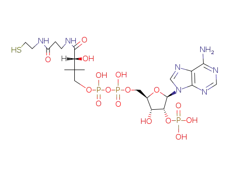 Coenzyme A,3'-O-dephosphono-, 2'-(dihydrogen phosphate) (9CI)