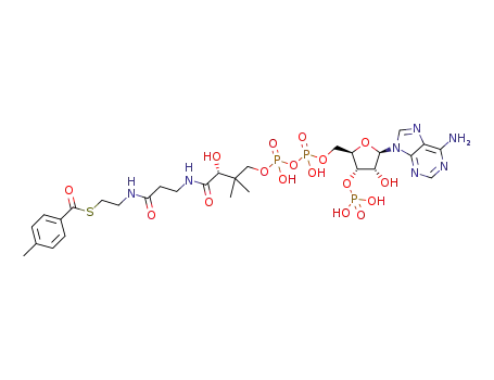 S-4-methylbenzoyl coenzyme A